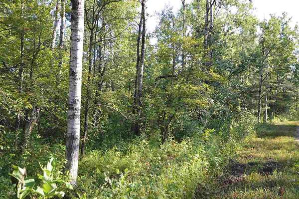 1.44 Acres of Residential Land for Sale in Mancelona, Michigan