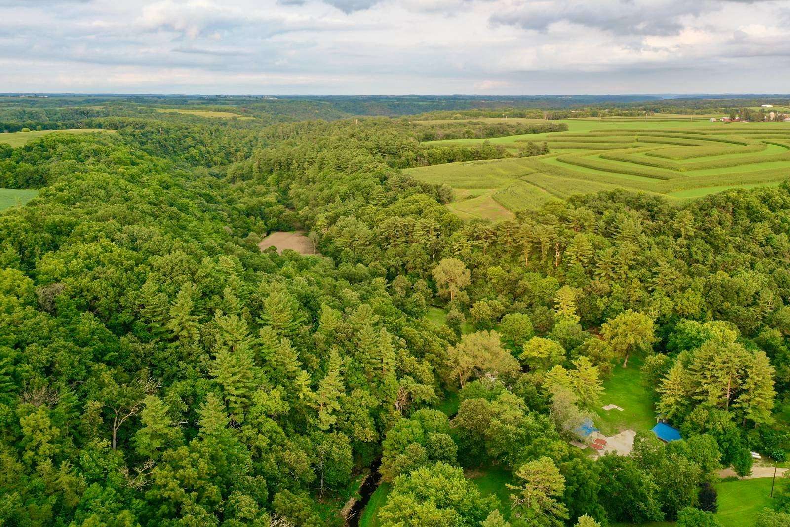 116 Acres of Recreational Land for Sale in Caledonia, Minnesota