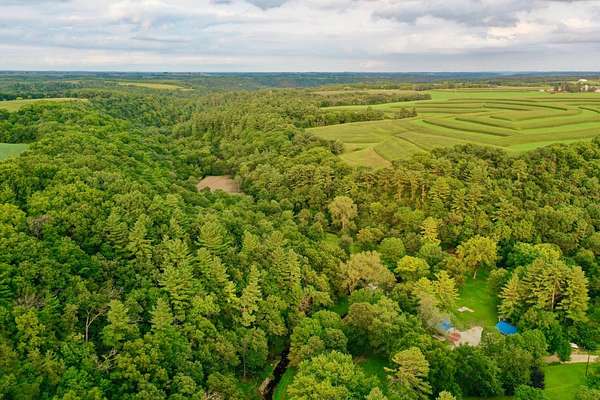 116 Acres of Recreational Land for Sale in Caledonia, Minnesota