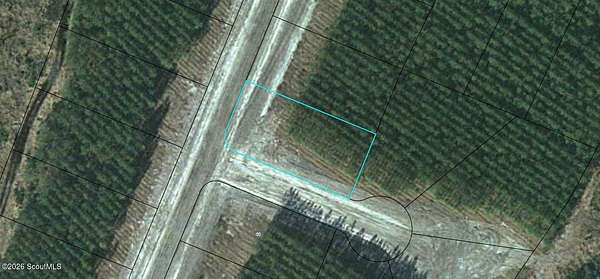 0.5 Acres of Land for Sale in Waynesville, Georgia