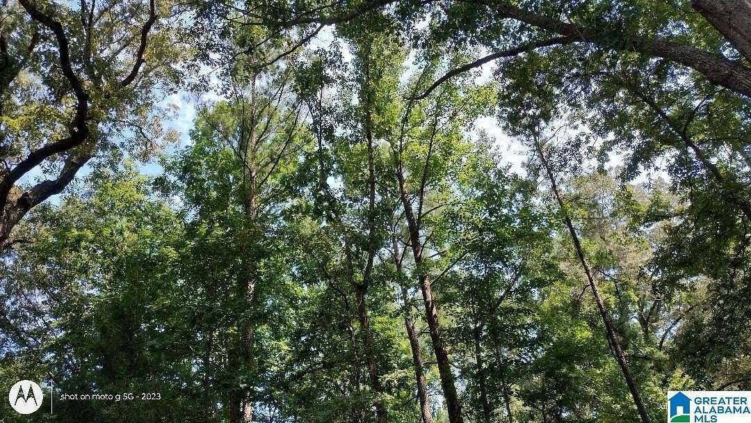 0.67 Acres of Land for Sale in Lakeview, Alabama