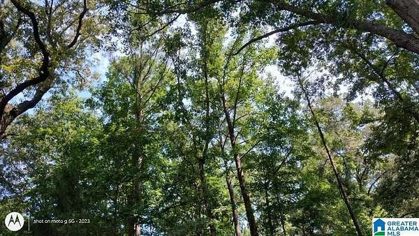 0.67 Acres of Land for Sale in Lakeview, Alabama
