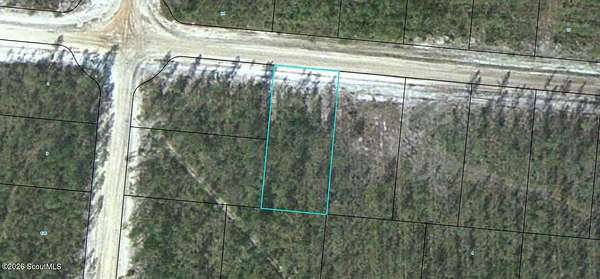0.5 Acres of Land for Sale in Waynesville, Georgia