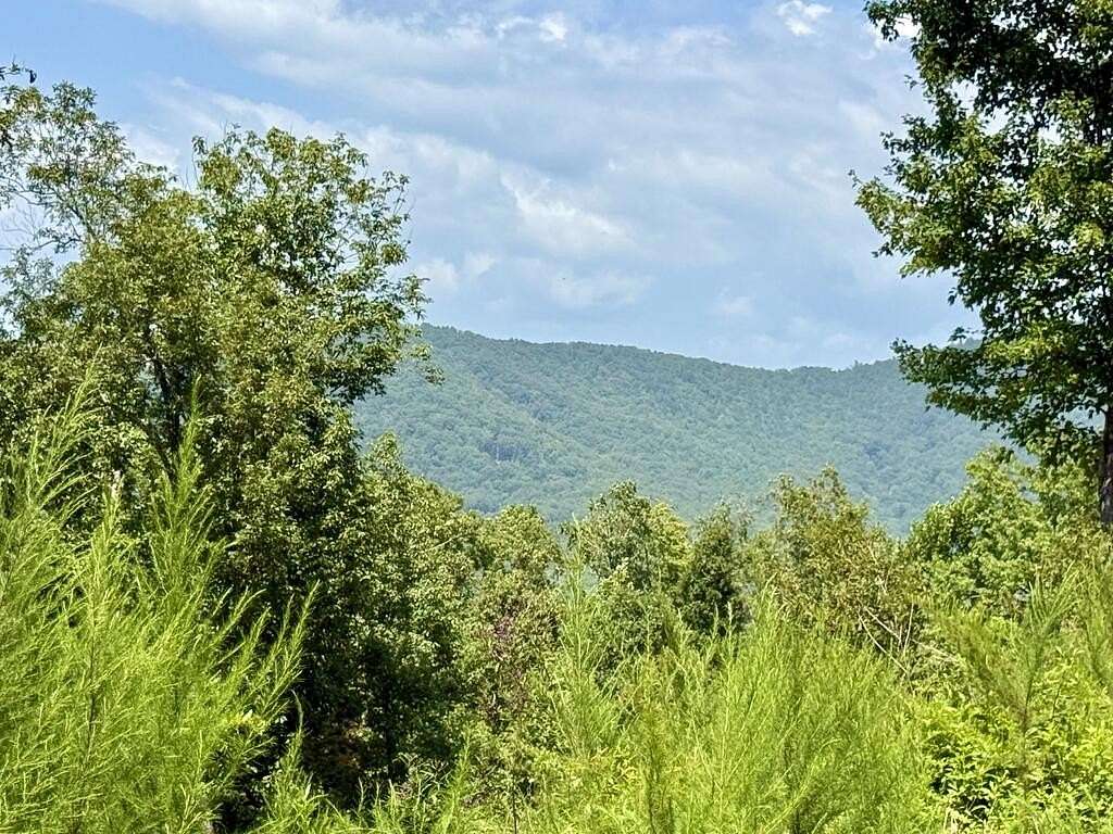 1.25 Acres of Residential Land for Sale in Brasstown, North Carolina