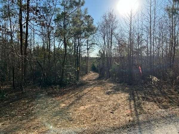 40.4 Acres of Recreational & Residential Land for Sale in Dacula, Georgia