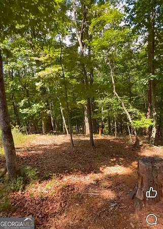 7.25 Acres of Residential Land for Sale in Dawsonville, Georgia