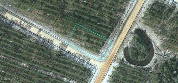 0.51 Acres of Land for Sale in Waynesville, Georgia