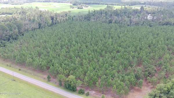 39.5 Acres of Agricultural & Residential Land for Sale in Hazlehurst, Georgia