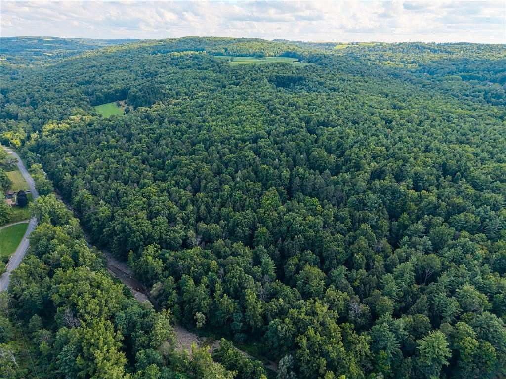 105 Acres of Recreational Land for Sale in Dansville, New York