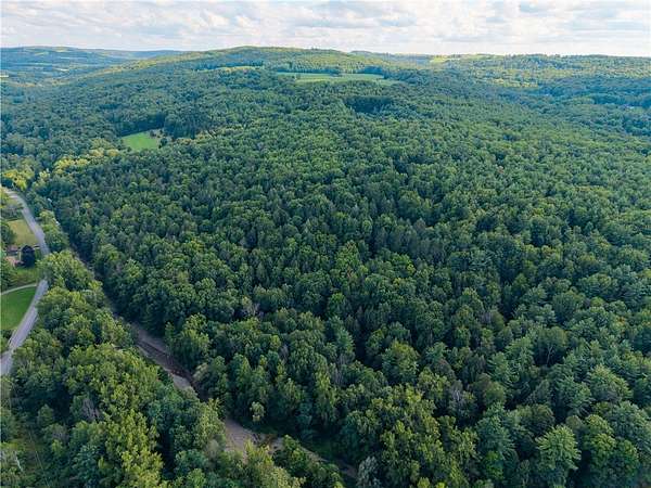 105 Acres of Recreational Land for Sale in Dansville, New York