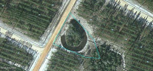 0.5 Acres of Land for Sale in Waynesville, Georgia