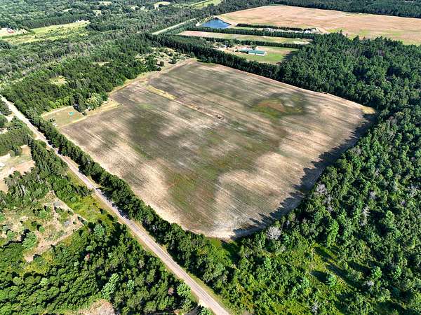 18.9 Acres of Recreational & Residential Land for Sale in Necedah, Wisconsin