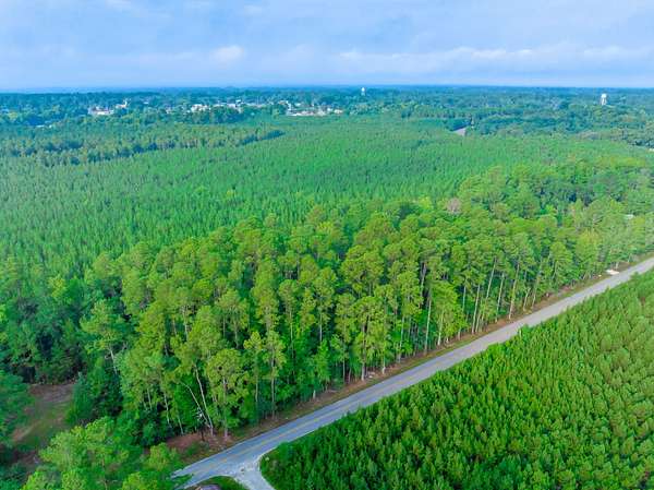 3.2 Acres of Residential Land for Sale in Hampton, South Carolina