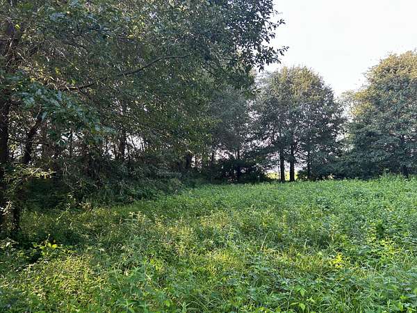 12.8 Acres of Recreational & Residential Land for Sale in Decatur, Illinois