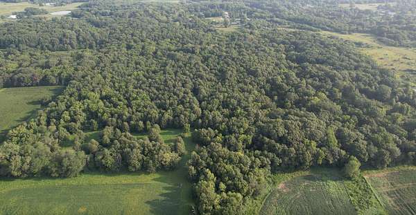 12.8 Acres of Recreational & Residential Land for Sale in Decatur, Illinois