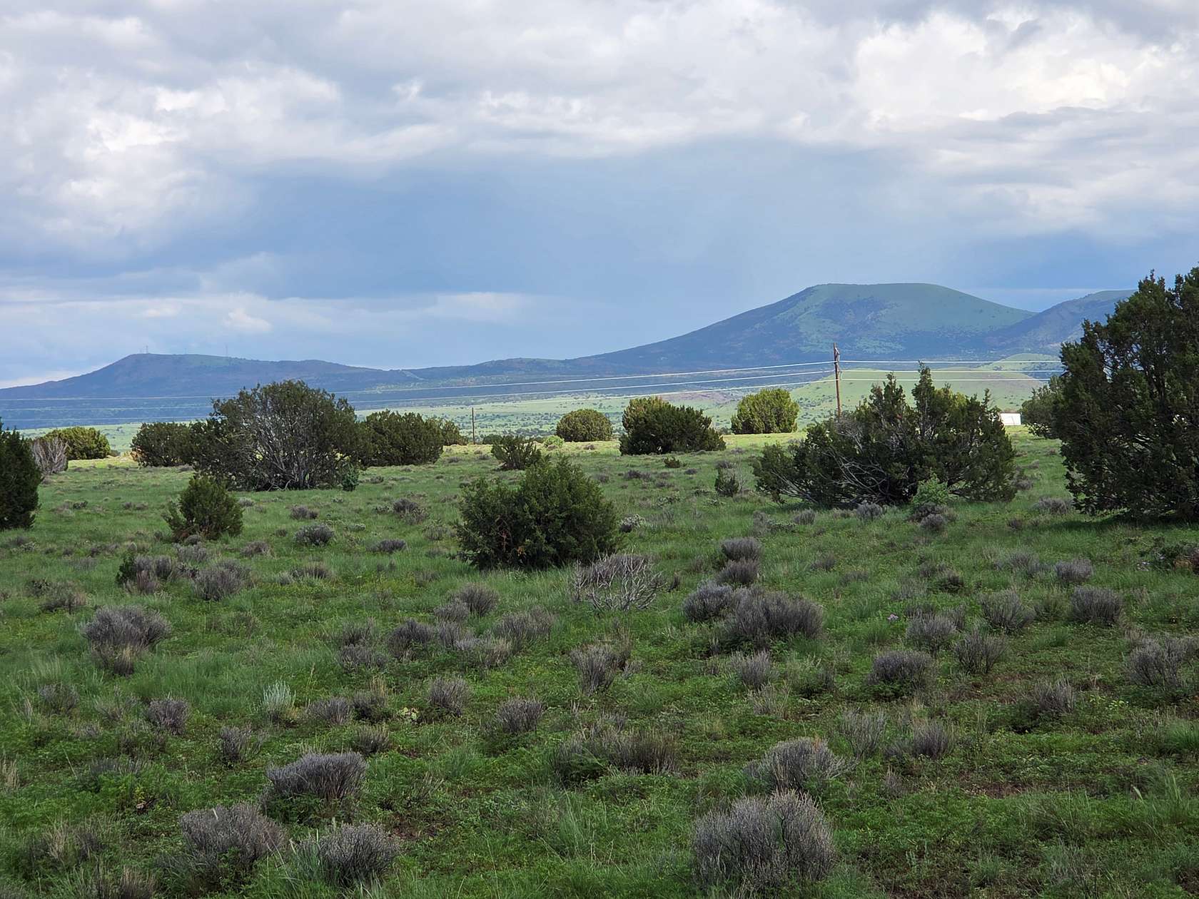 37.6 Acres of Land for Sale in Vernon, Arizona