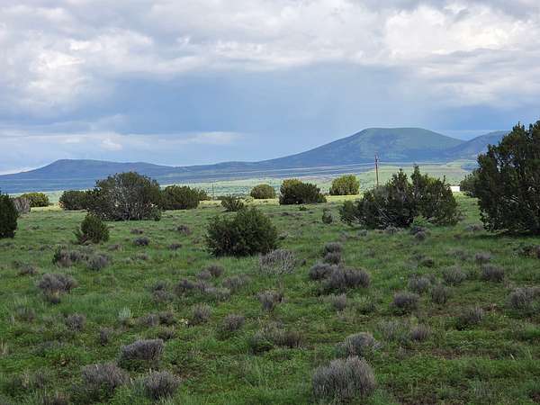 37.6 Acres of Land for Sale in Vernon, Arizona