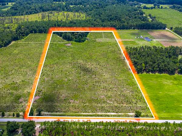 20 Acres of Agricultural Land for Sale in Live Oak, Florida