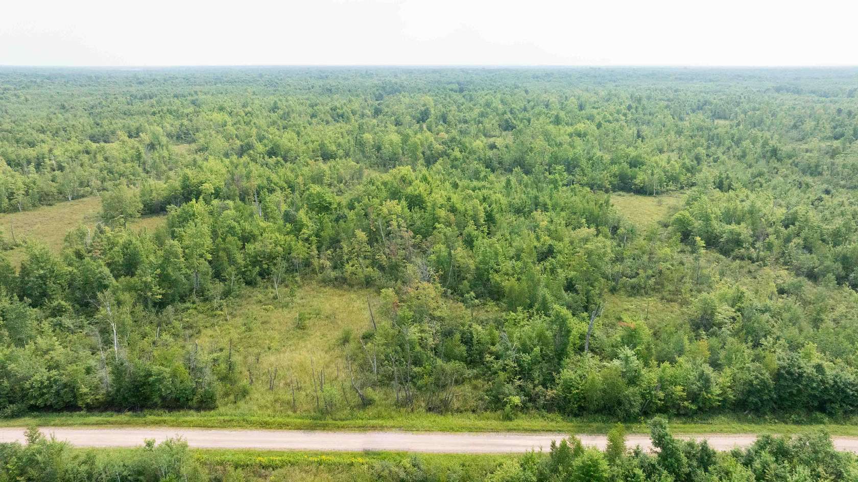 40 Acres of Land for Sale in Necedah, Wisconsin