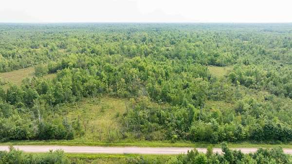 40 Acres of Land for Sale in Necedah, Wisconsin