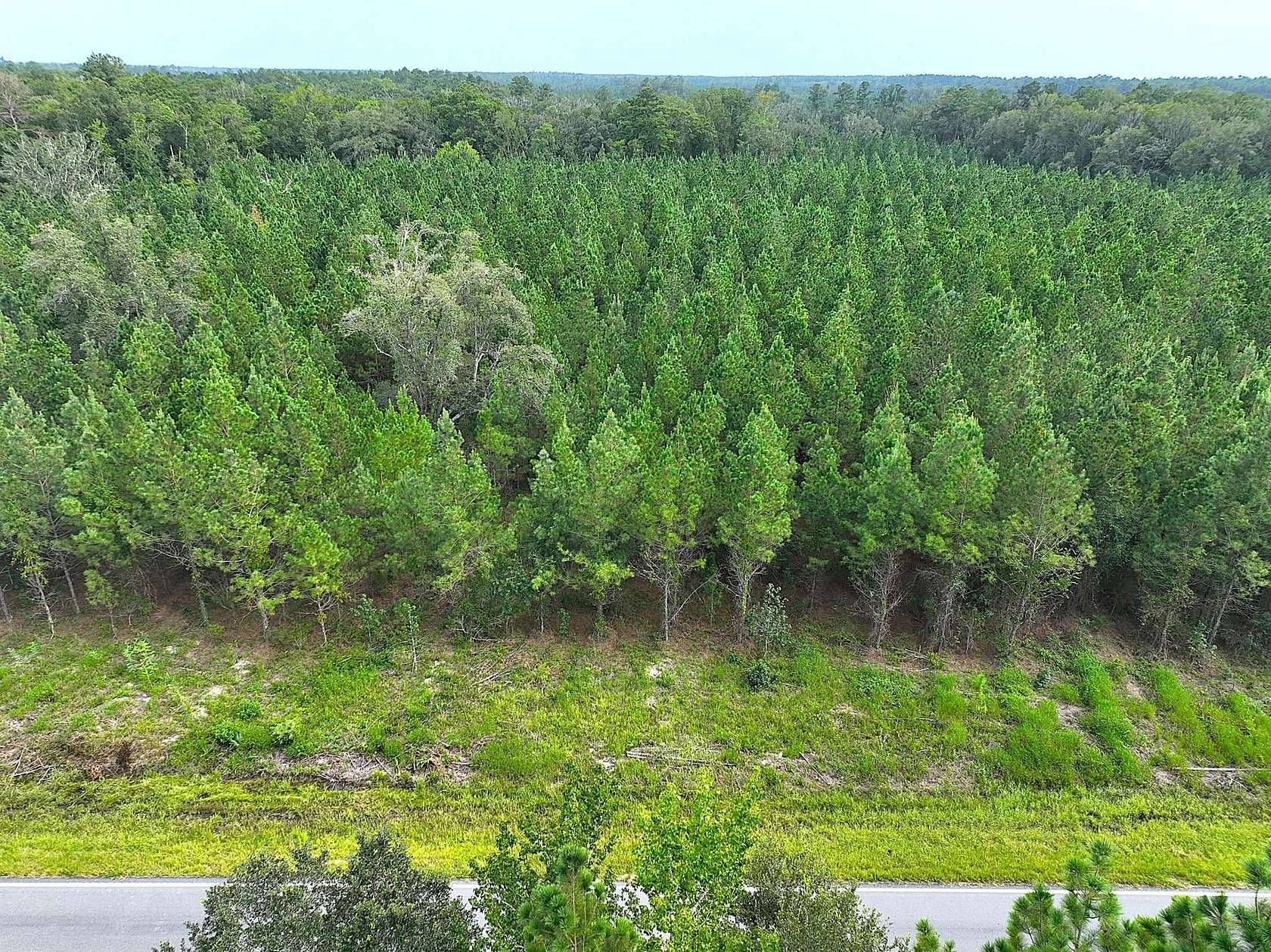 5 Acres of Recreational Land for Sale in White Oak, Georgia