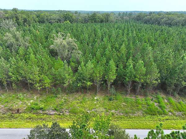 5 Acres of Recreational Land for Sale in White Oak, Georgia