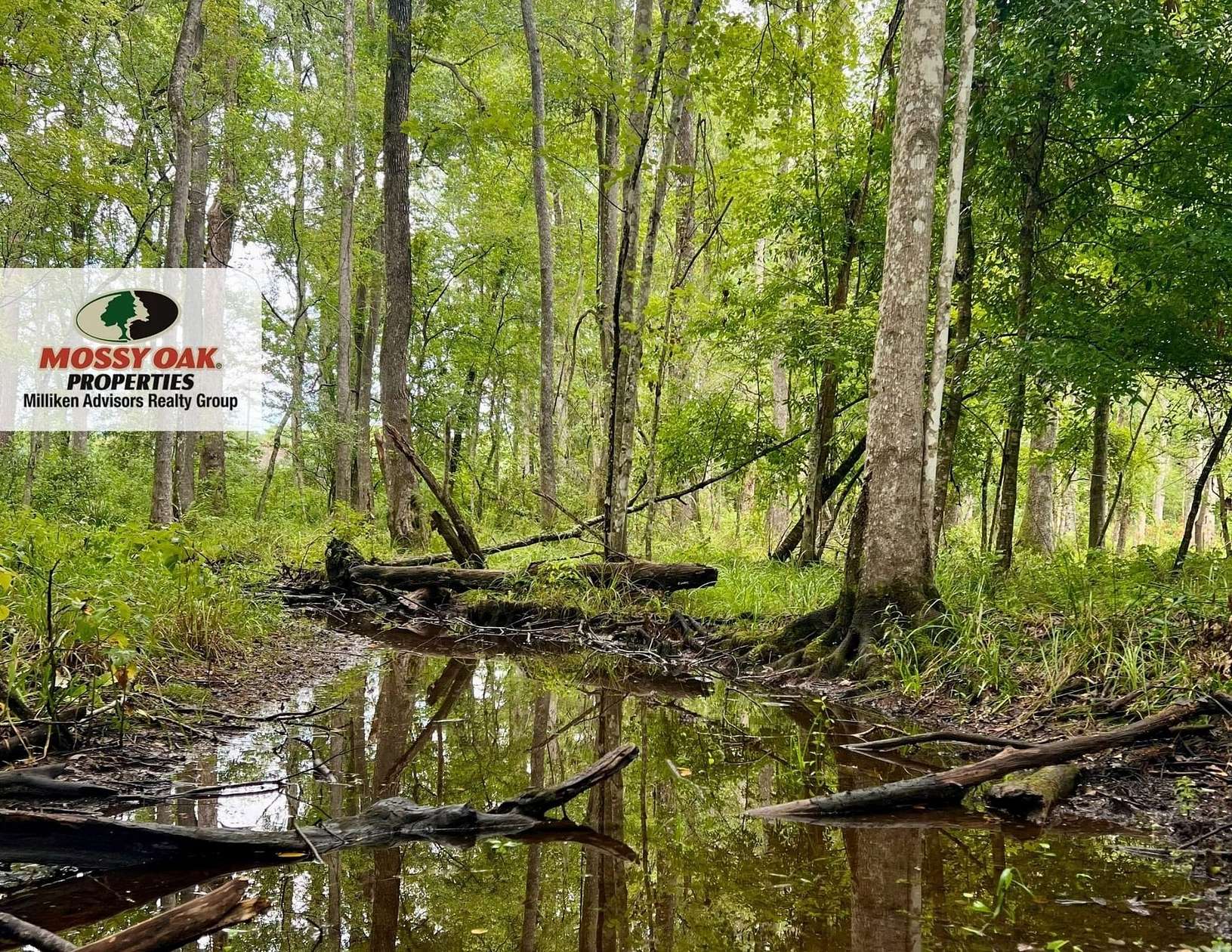 5.65 Acres of Recreational Land for Sale in Walterboro, South Carolina