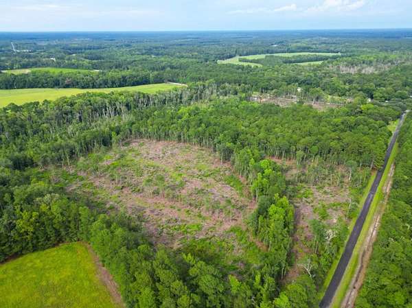 5.65 Acres of Recreational Land for Sale in Walterboro, South Carolina
