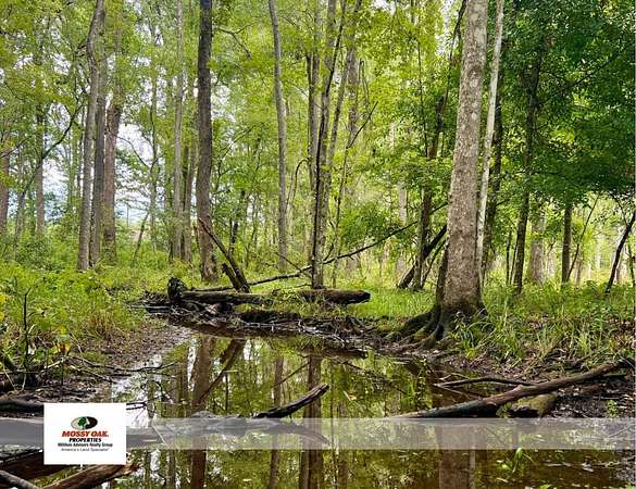 5.65 Acres of Recreational Land for Sale in Walterboro, South Carolina