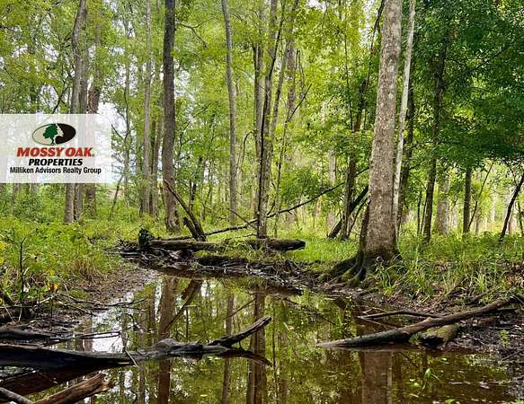5.65 Acres of Recreational Land for Sale in Walterboro, South Carolina