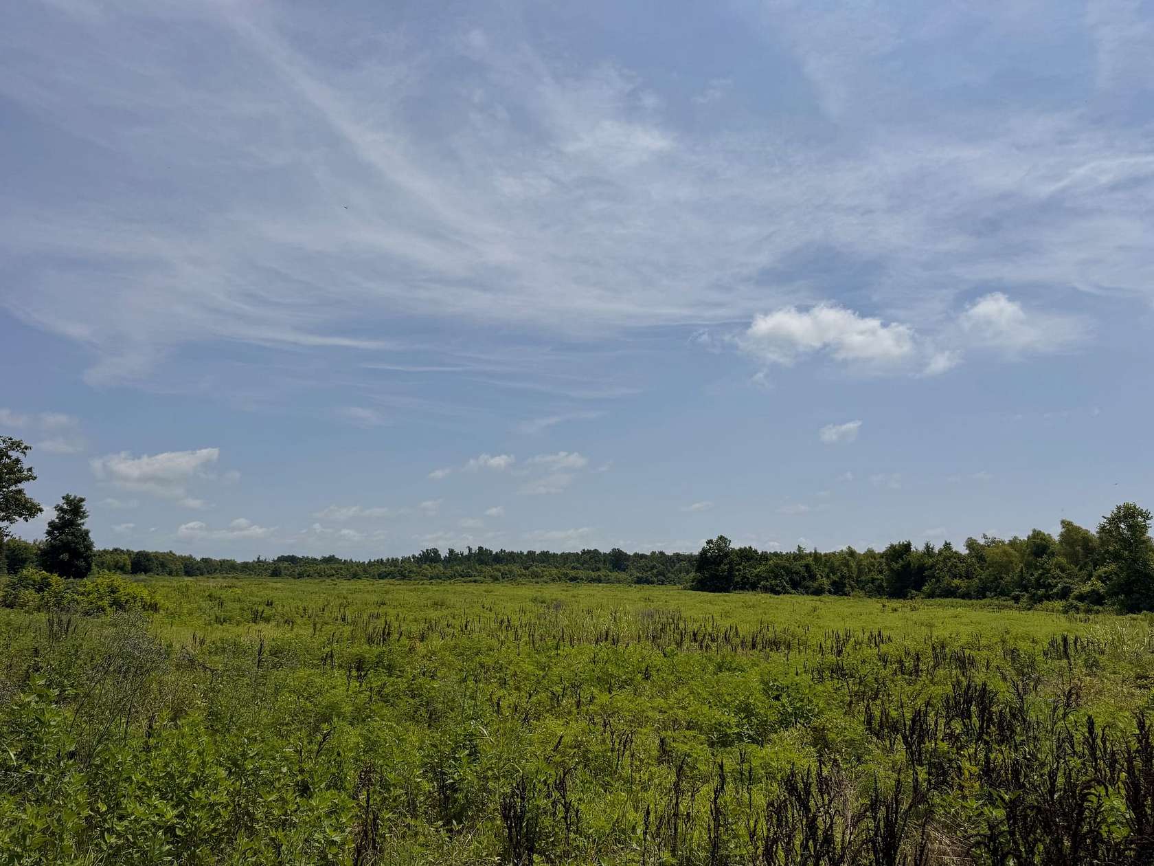 161 Acres of Recreational Land for Sale in Star City, Arkansas