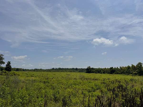 161 Acres of Recreational Land for Sale in Star City, Arkansas