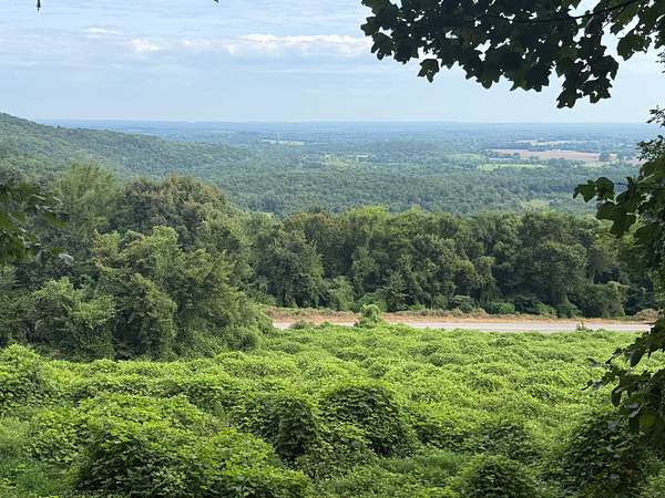 38 Acres of Recreational Land for Sale in Phil Campbell, Alabama