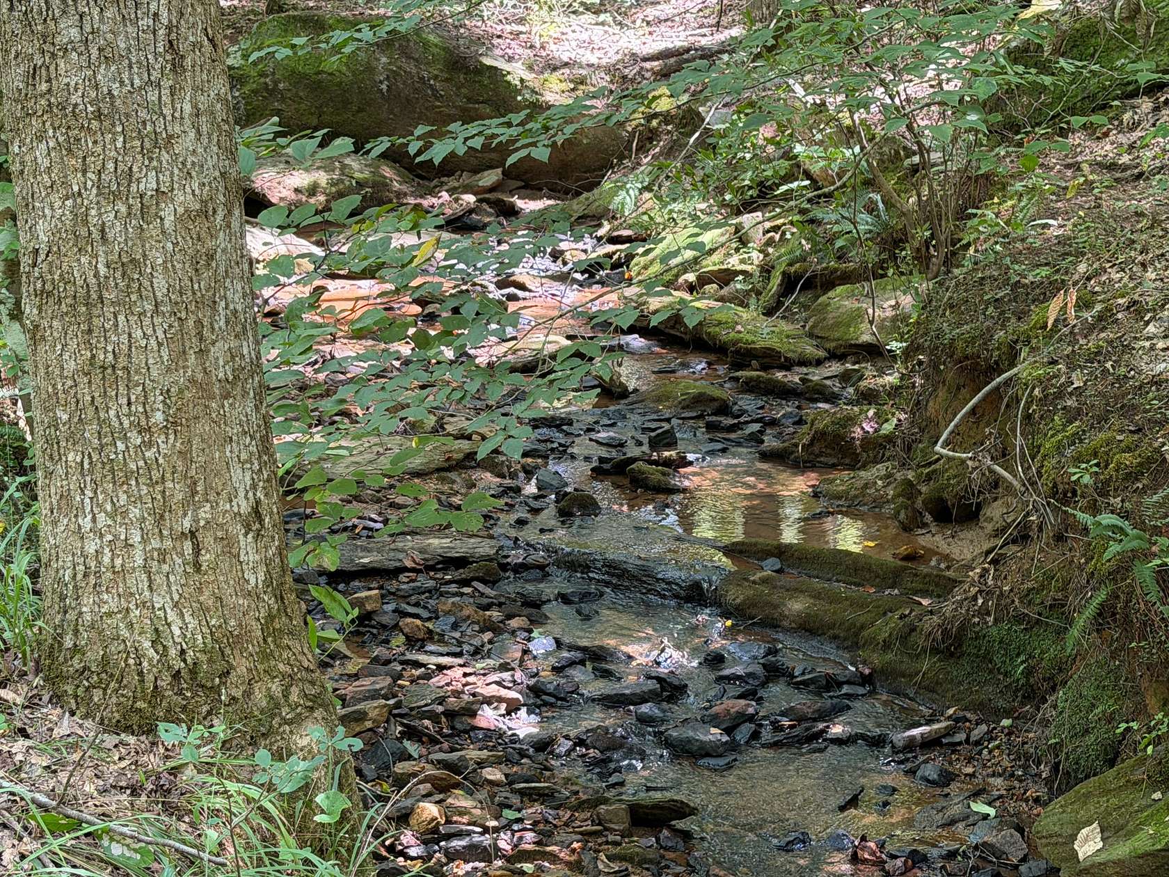 8 Acres of Residential Land for Sale in Dadeville, Alabama