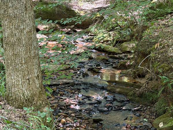 8 Acres of Residential Land for Sale in Dadeville, Alabama