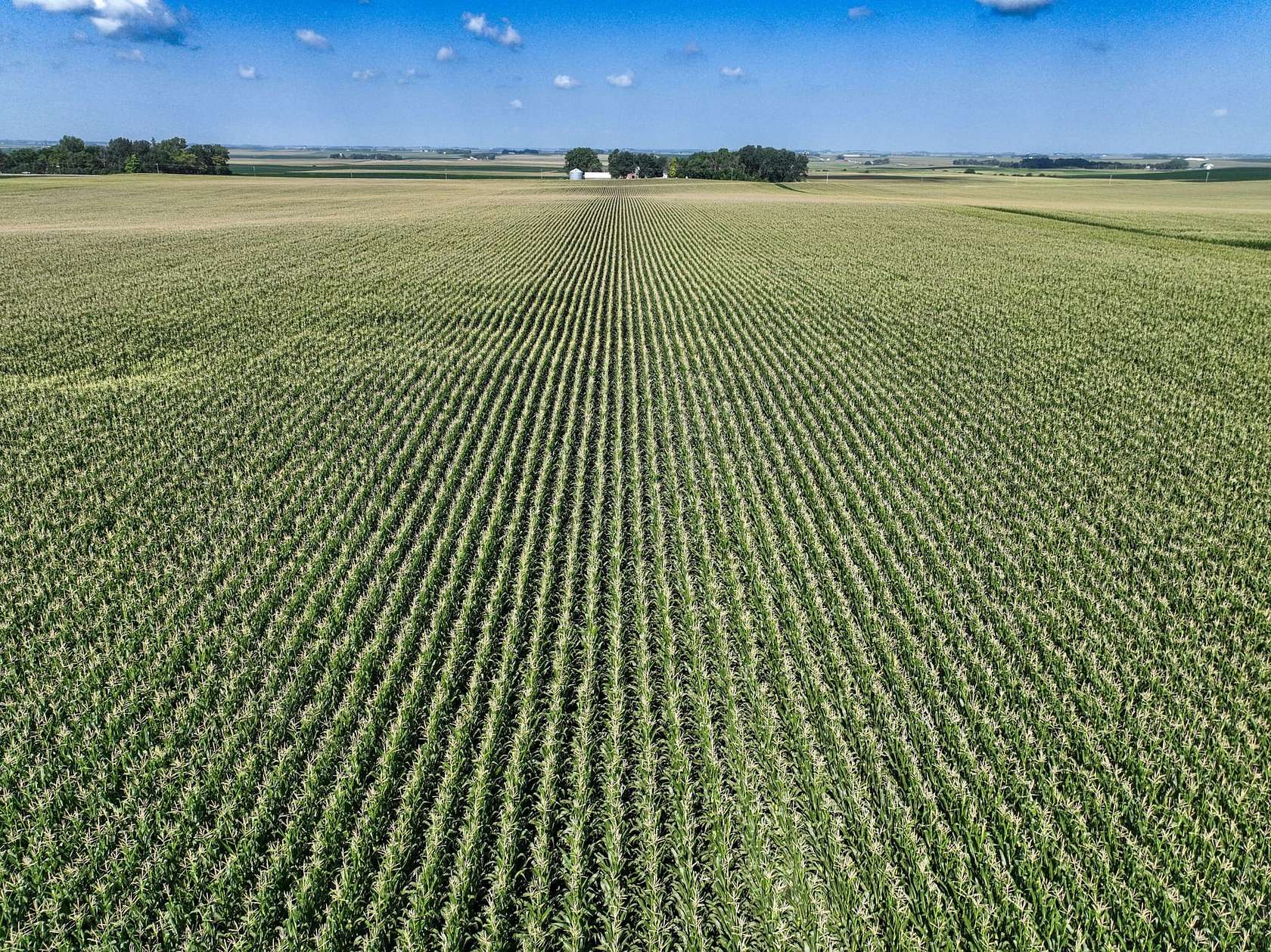 161 Acres of Land for Sale in Graettinger, Iowa