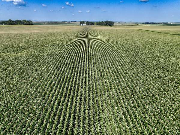 161 Acres of Land for Sale in Graettinger, Iowa