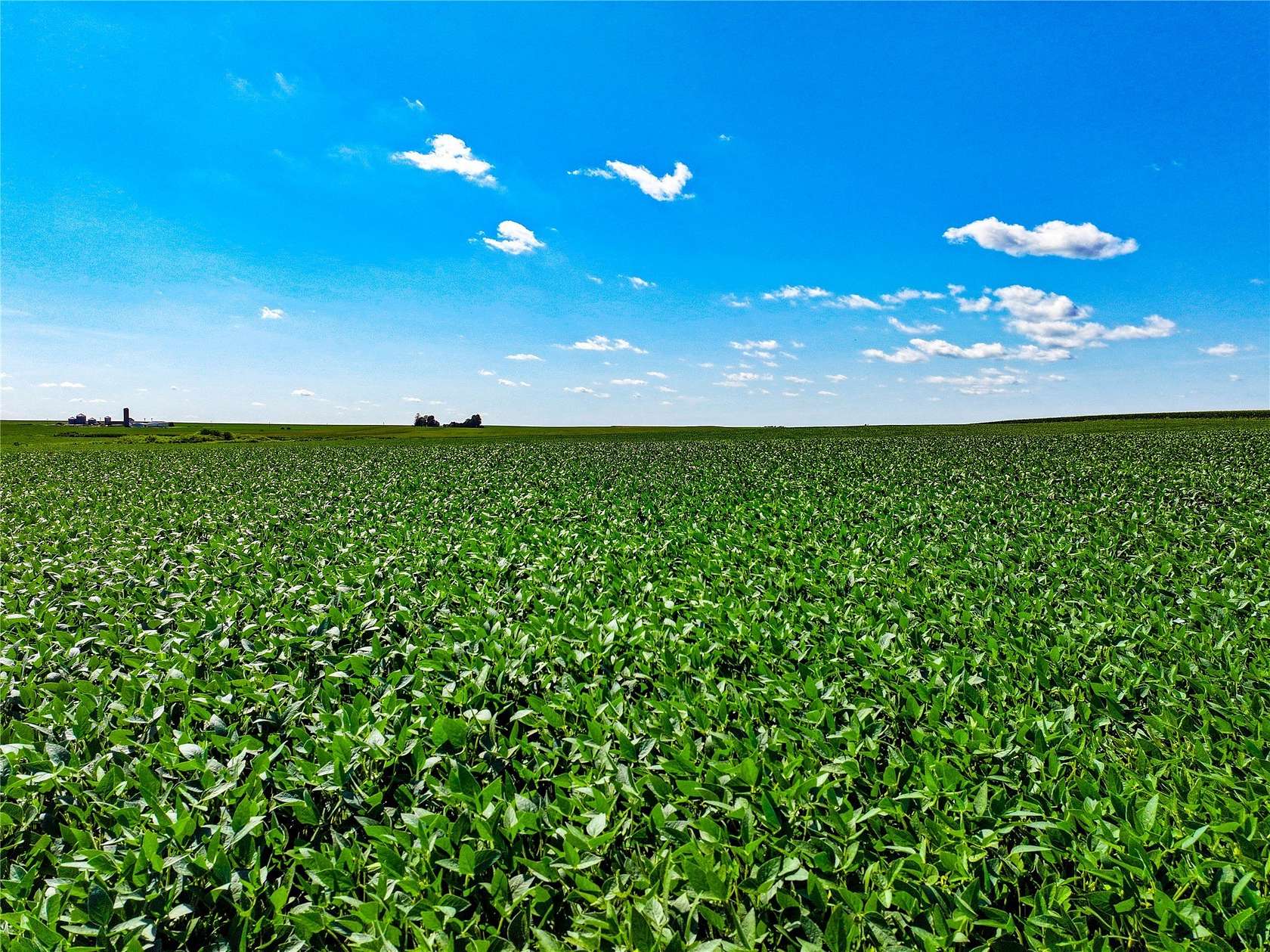 150 Acres of Agricultural Land for Auction in Harlan Township, Iowa