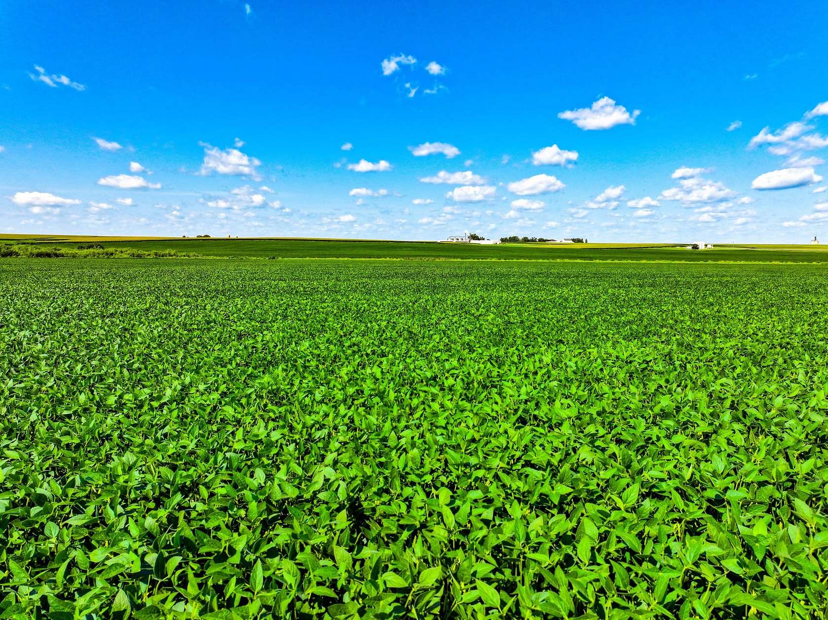 150 Acres of Land for Auction in Maynard, Iowa