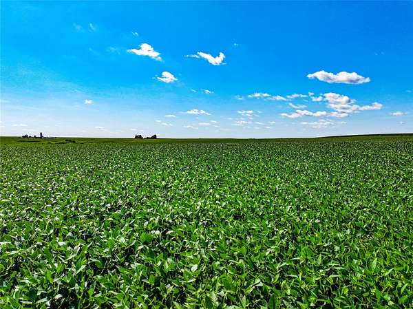150 Acres of Agricultural Land for Auction in Harlan Township, Iowa