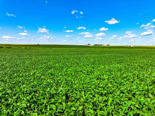 150 Acres of Land for Auction in Maynard, Iowa