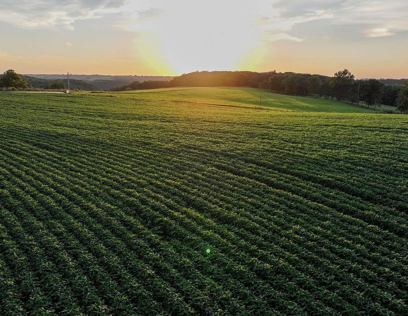 40.2 Acres of Land for Sale in Viroqua, Wisconsin