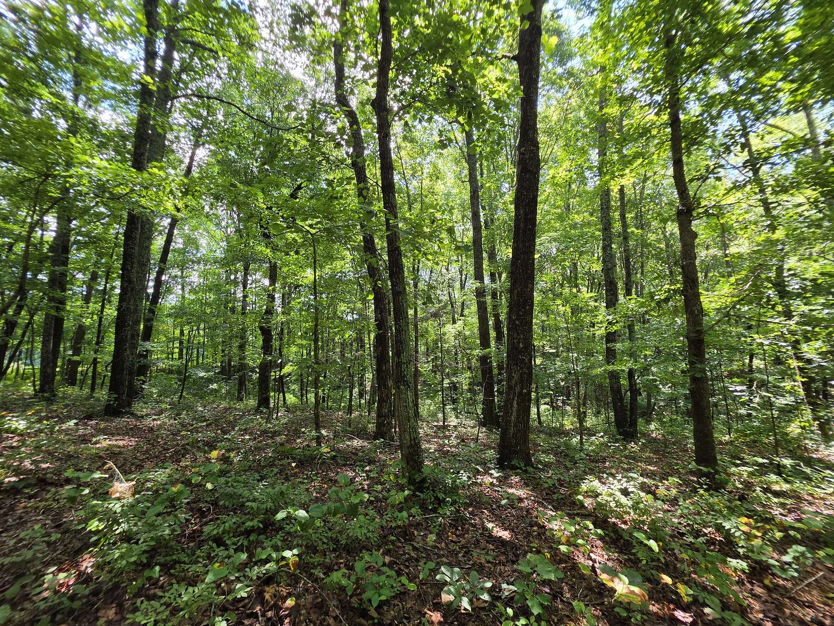 2.83 Acres of Residential Land for Sale in Altamont, Tennessee
