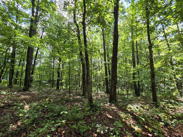 2.83 Acres of Residential Land for Sale in Altamont, Tennessee