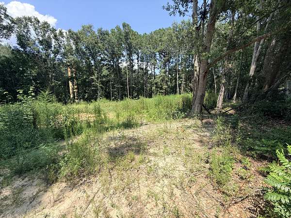 1.34 Acres of Residential Land for Sale in Sumter, South Carolina