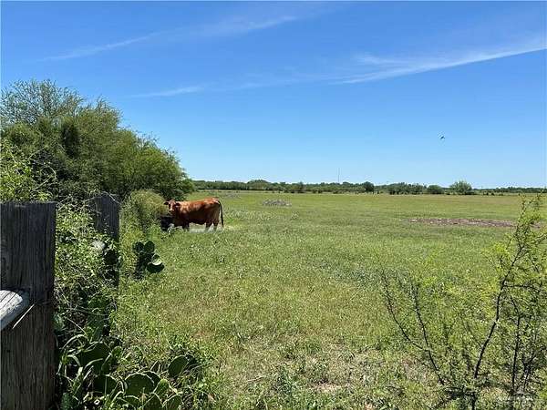 14 Acres of Land for Sale in Lyford, Texas