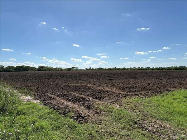 14 Acres of Agricultural Land for Sale in Lyford, Texas