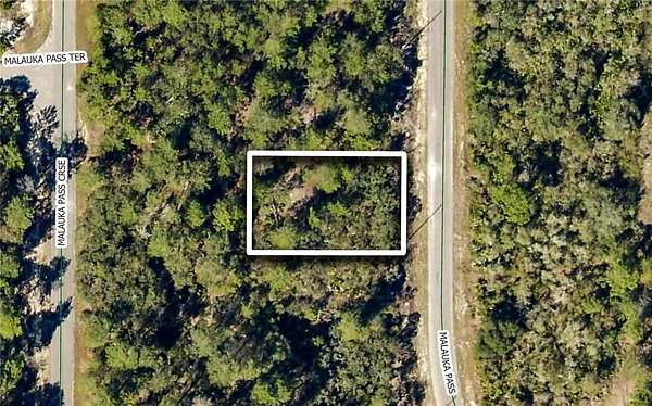 0.23 Acres of Residential Land for Sale in Ocklawaha, Florida