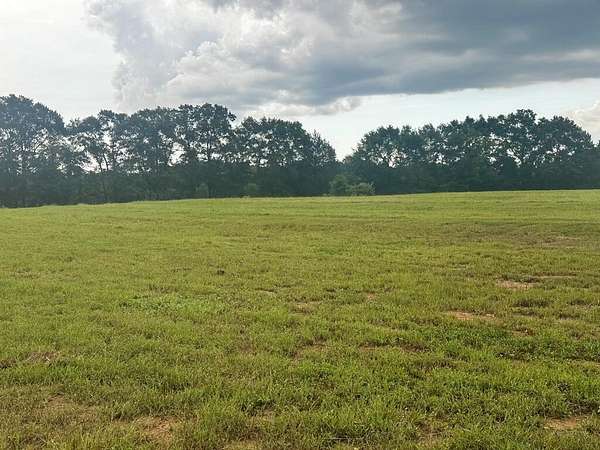3.66 Acres of Residential Land for Sale in Headland, Alabama