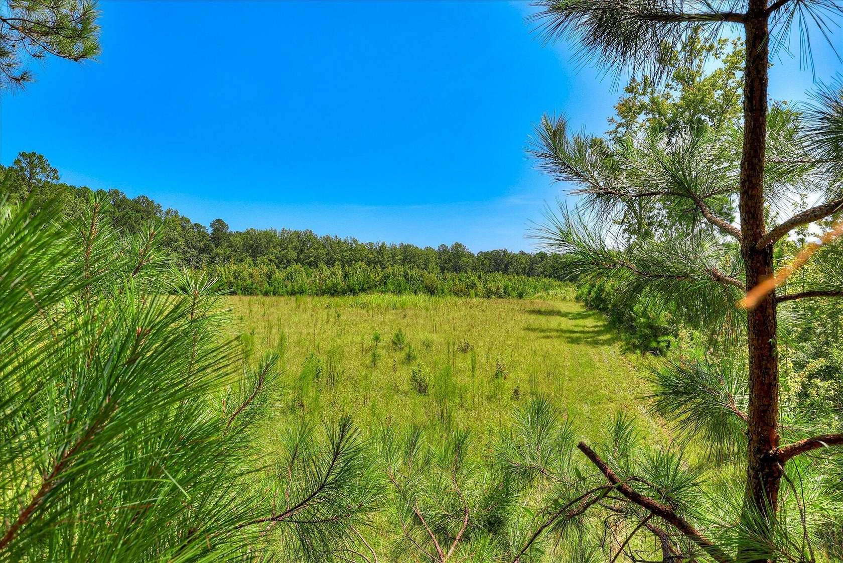 144 Acres of Recreational Land for Sale in Jackson, South Carolina